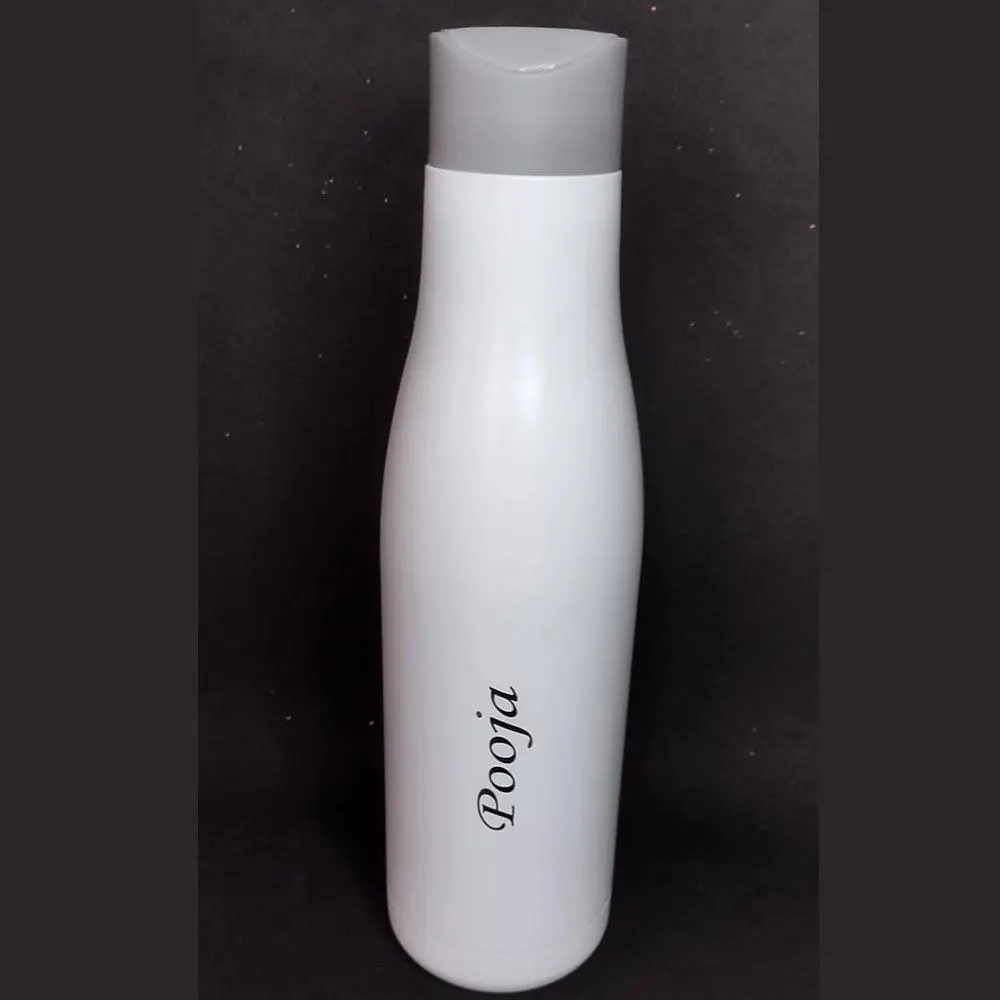 750 ML Stainless Bottle